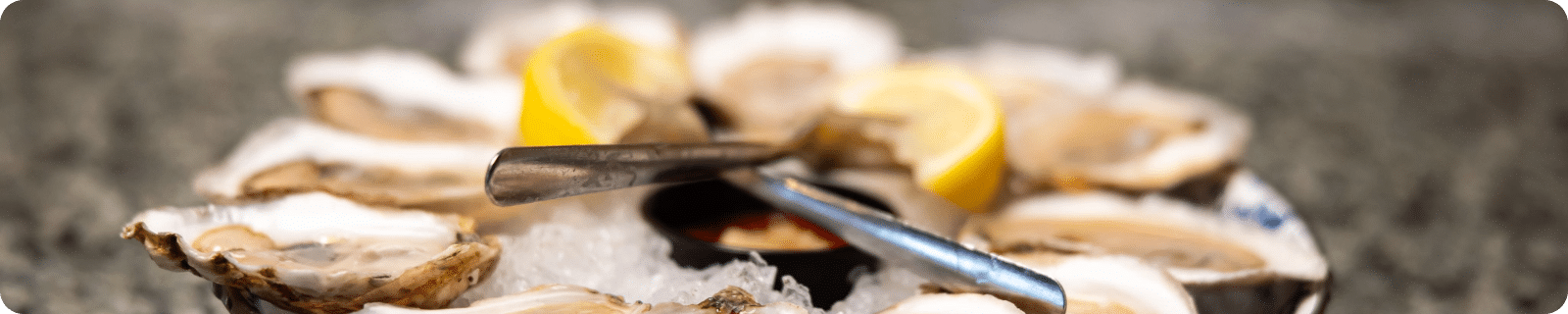 oysters north andover ma